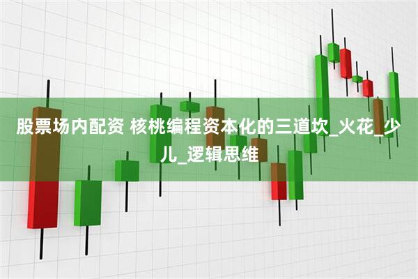 股票场内配资 核桃编程资本化的三道坎_火花_少儿_逻辑思维